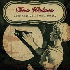 Disco in vinile Marry Waterson & David Jaycock - Two Wolves (LP)