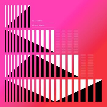 Disque vinyle Ricardo Donoso - Re_Calibrate (High Quality) (180 g) (LP) - 1