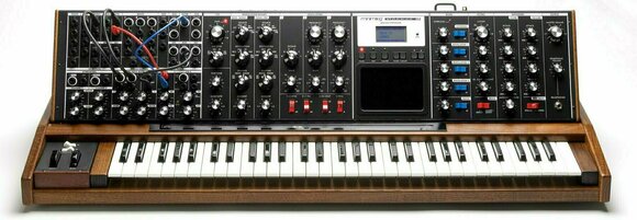 Synthesizer MOOG Minimoog Voyager XL - 1