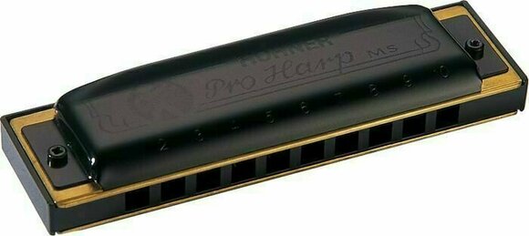 Diatonic harmonica Hohner Pro Harp MS Db - 1