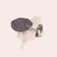 Vinylplade Erasers - Stem Together (LP)