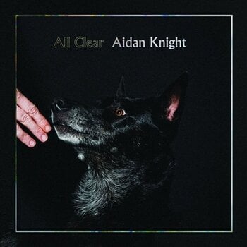 Schallplatte Aidan Knight - Each Other (LP) - 1