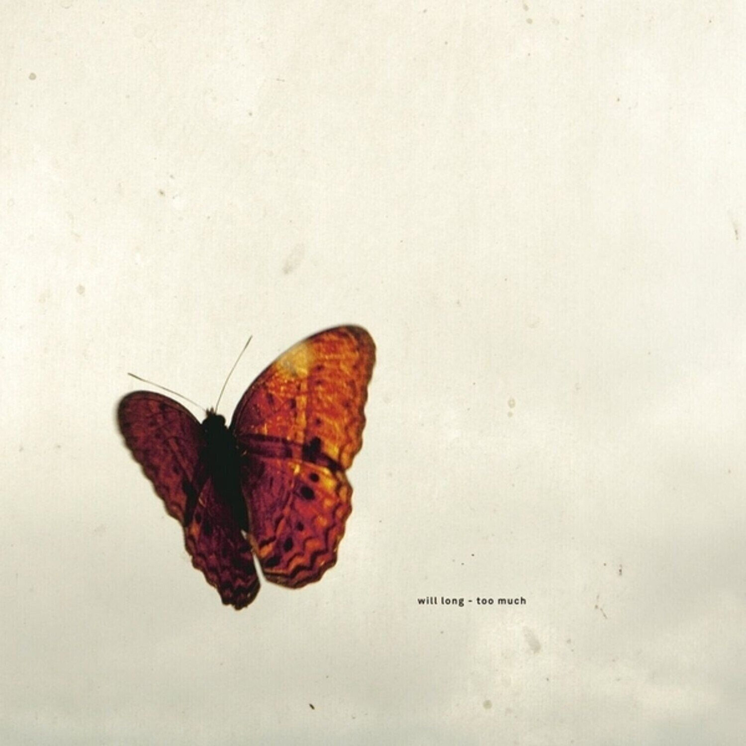 Disco in vinile Will Long - Too Much (EP)