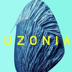 Vinyl Record Matthew Collings - Uzonia (High Quality) (Yellow Coloured) (LP)