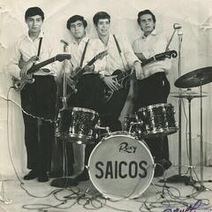 Vinyl Record Los Saicos - Demolición (Reissue) (7")