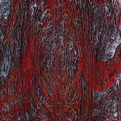 Vinyl Record Asfast - The Prime Same (Limited Edition) (High Quality) (Clear /Red Coloured) (LP)
