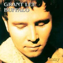 LP deska Grant Lee Buffalo - Fuzzy (Reissue) (Clear Coloured) (180 g) (LP)