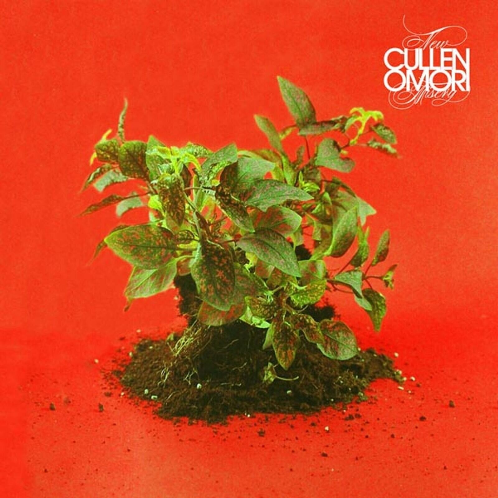 Disque vinyle Cullen Omori - New Misery (Limited Edition) (LP)