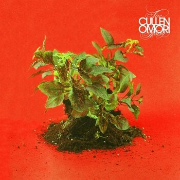 Disque vinyle Cullen Omori - New Misery (Limited Edition) (LP) - 1