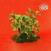 Disque vinyle Cullen Omori - New Misery (Limited Edition) (LP)