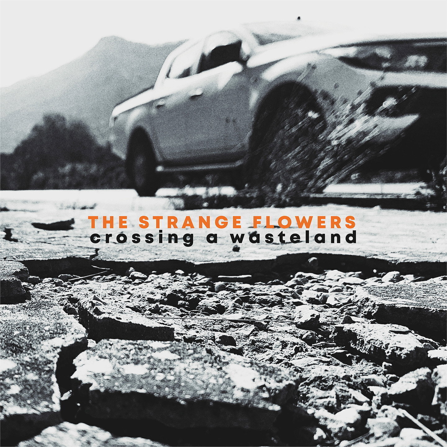 Грамофонна плоча Strange Flowers - Crossing A Wasteland (LP)