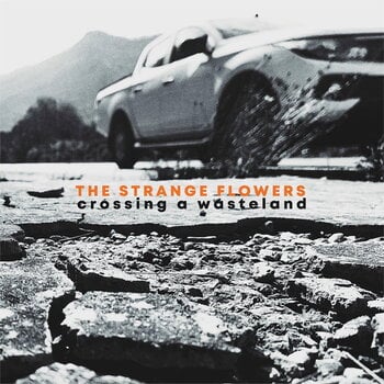 Грамофонна плоча Strange Flowers - Crossing A Wasteland (LP) - 1