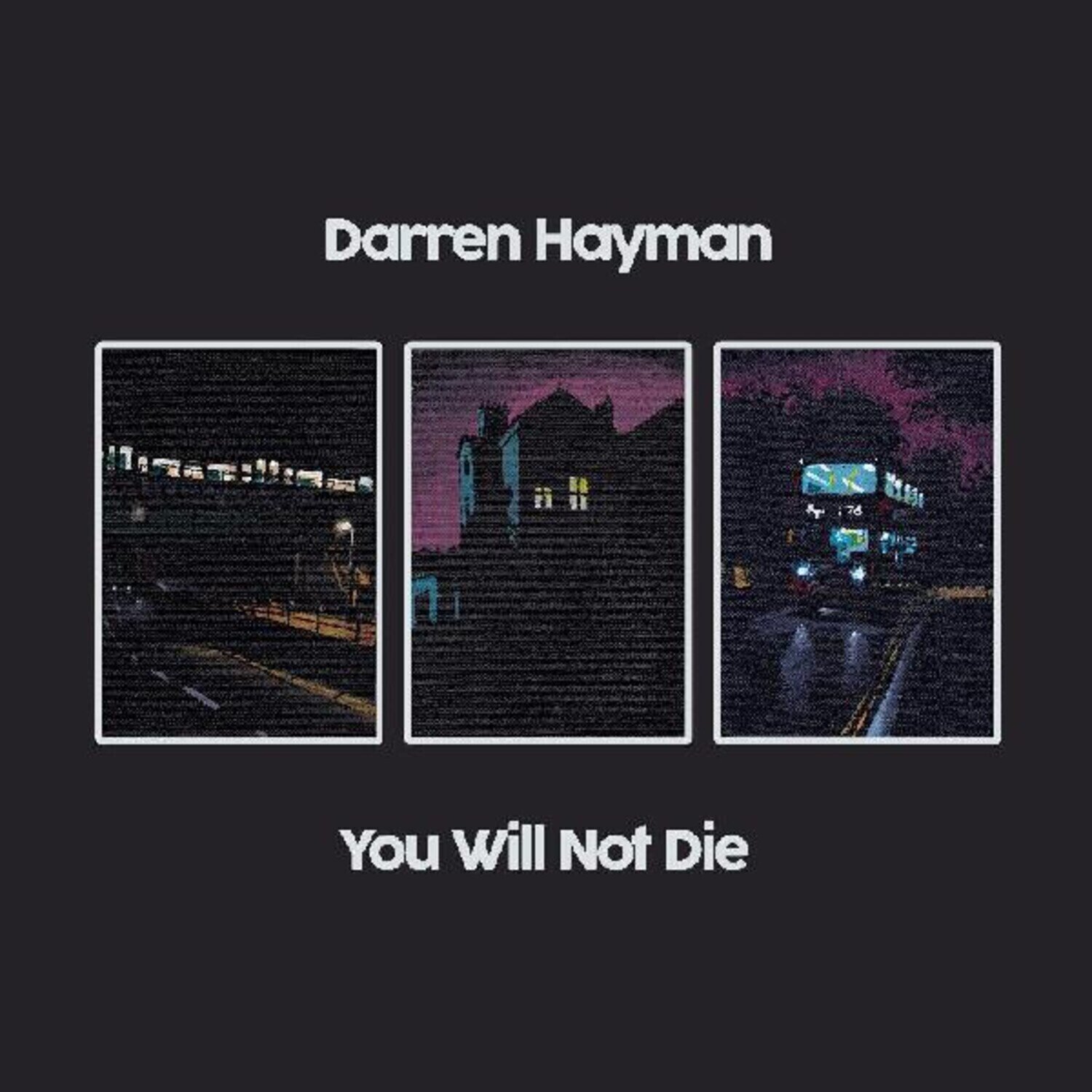 LP ploča Darren Hayman - You Will Not Die (Limited Edition) (2 LP)