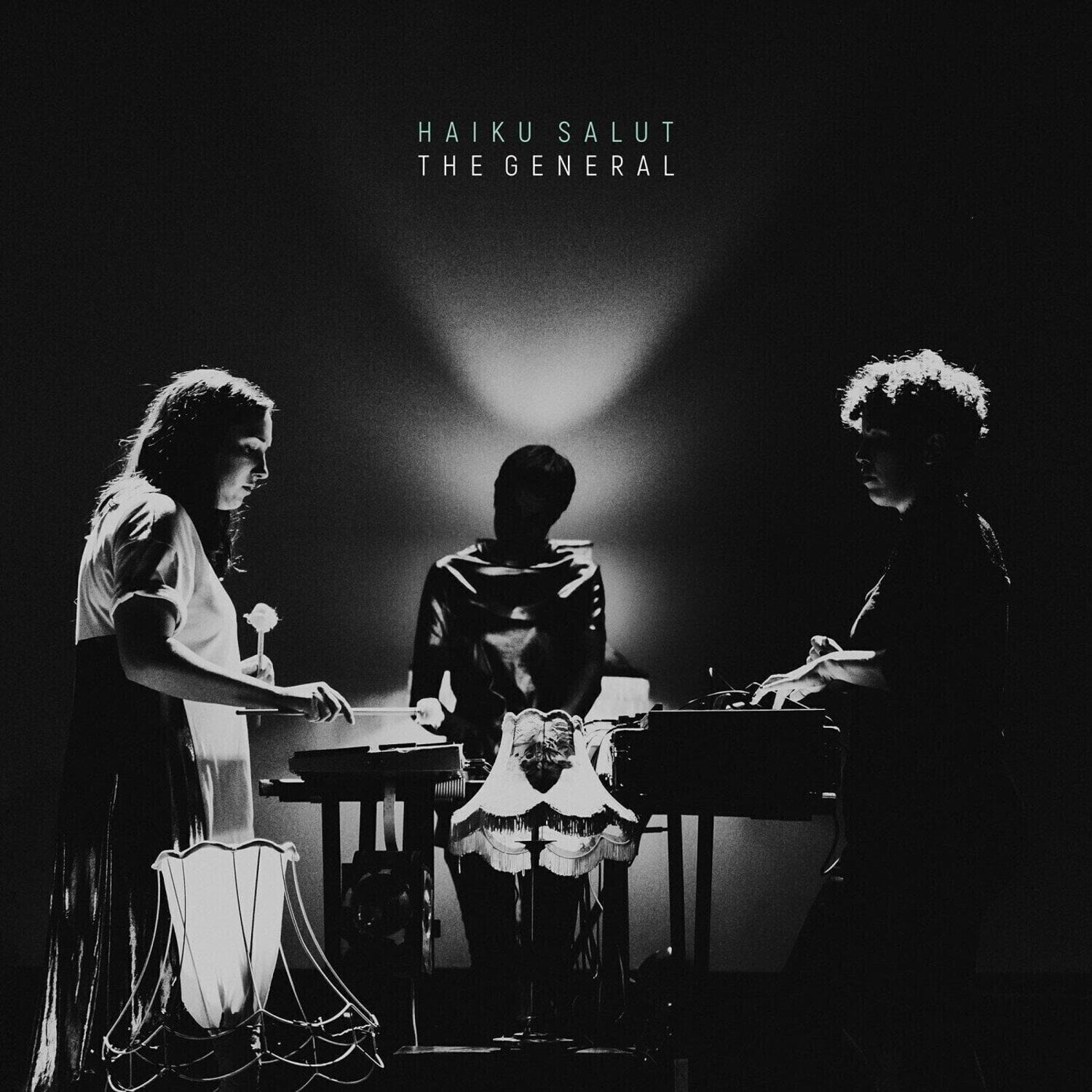 Disque vinyle Haiku Salut - The General (2 LP)