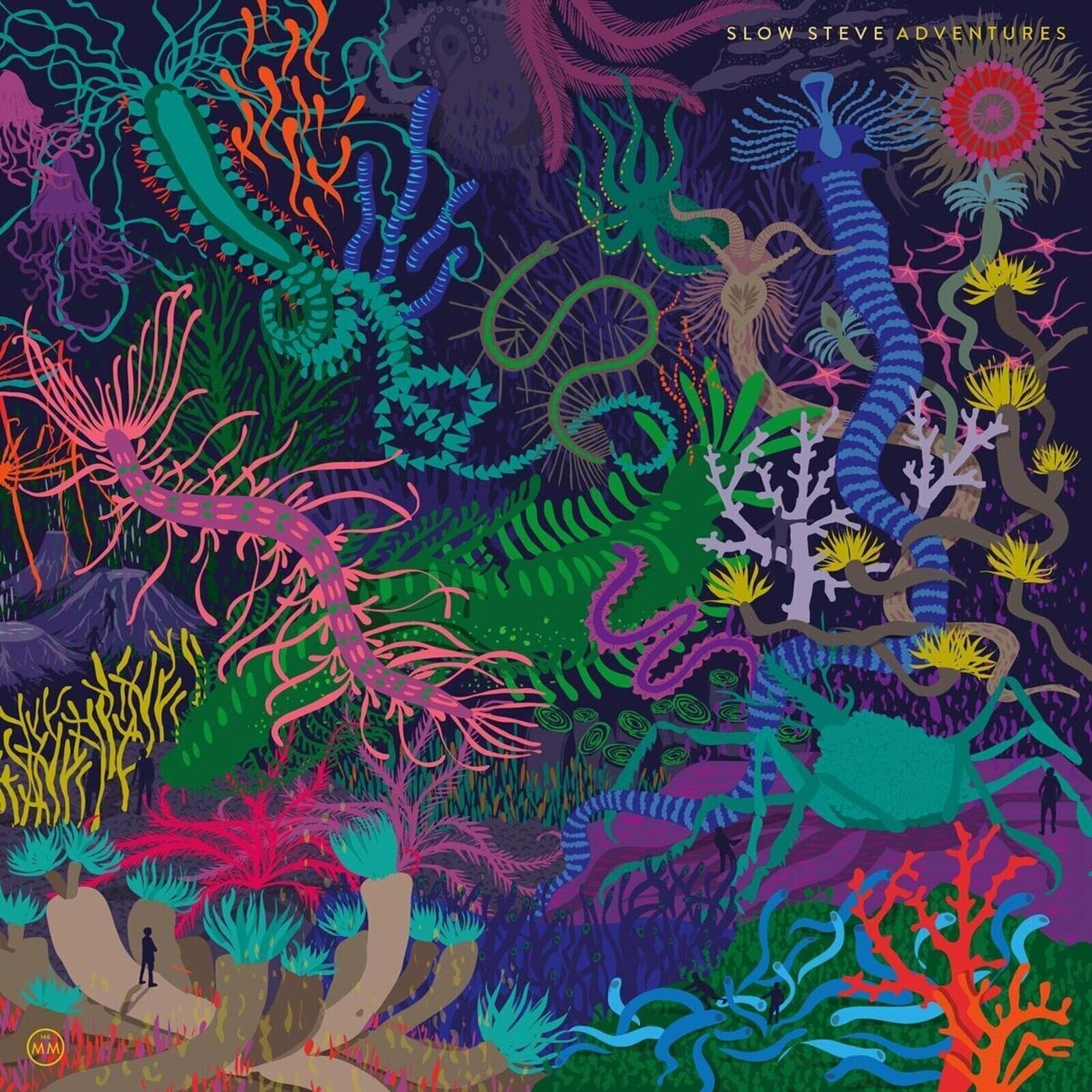 Schallplatte Slow Steve - Adventures (LP)