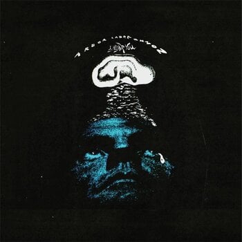 Disque vinyle Arbor Labor Union - I Hear You (Limited Edition) (2 LP) - 1