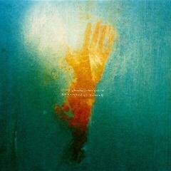 LP ploča James Johnston & Steve Gullick - Everybody's Sunset (Limited Edition) (LP)