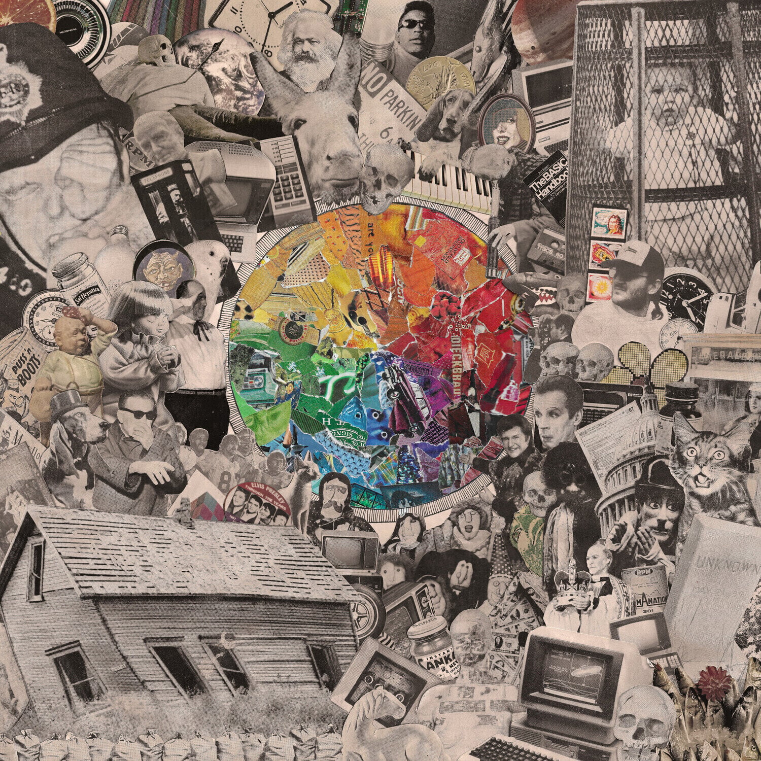 Vinyl Record Dougie Poole - The Rainbow Wheel Of Death (Limited Edition) (Vivid Purple Coloured) (LP)
