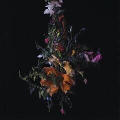 Disc de vinil Big Brave - Nature Morte (Limited Edition) (LP)