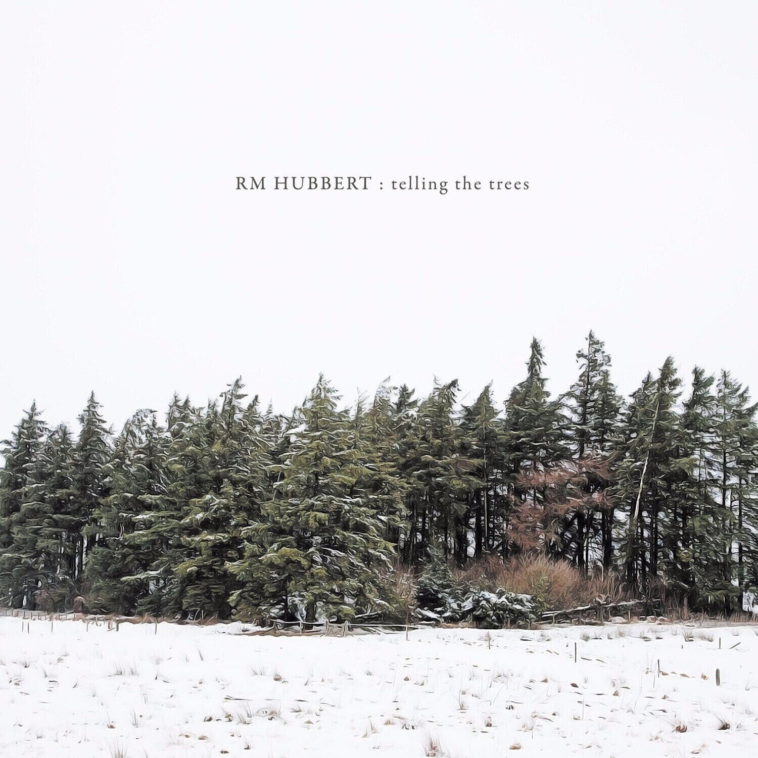 LP deska RM Hubbert - Telling The Trees (Limited Edition) (High Quality) (LP)