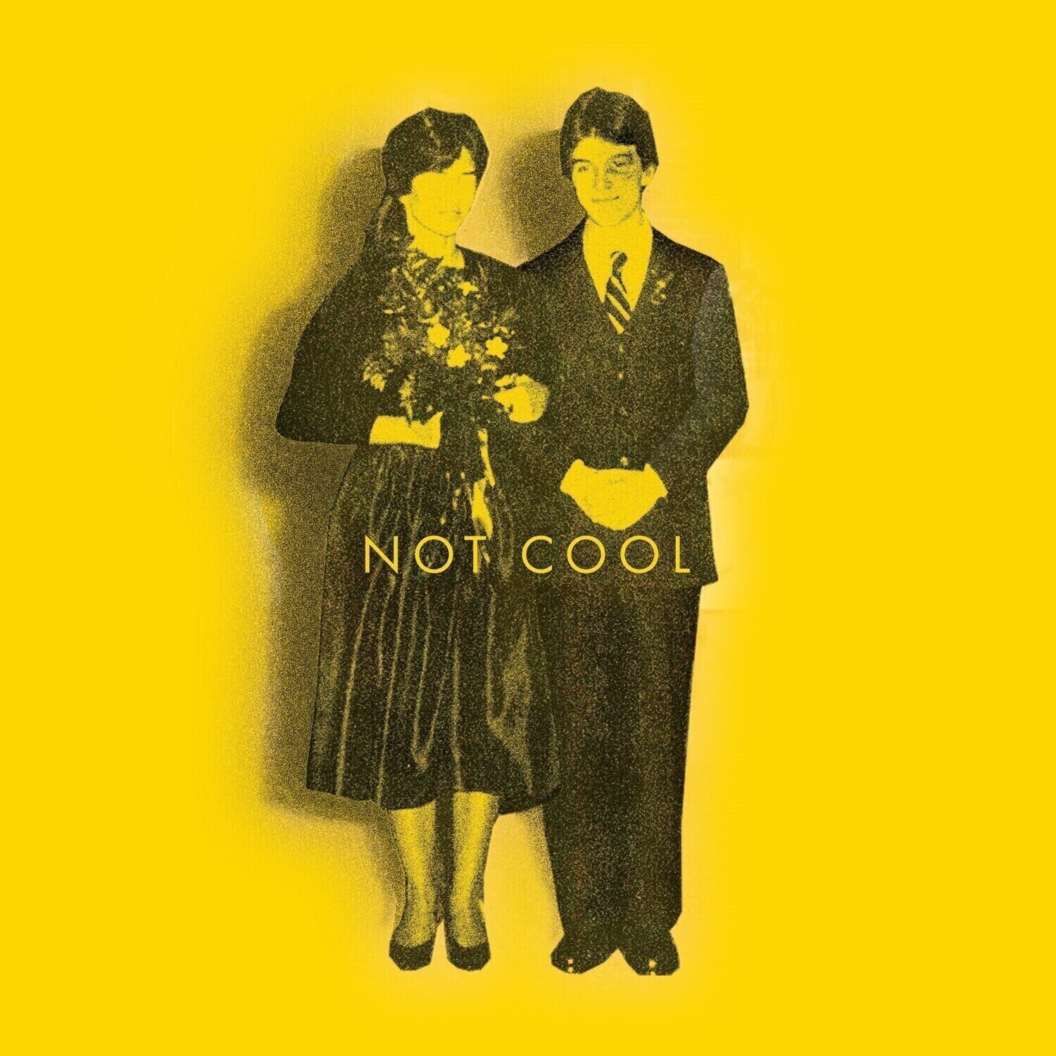 Disco in vinile Tim Easton - Not Cool (Limited Edition) (LP)