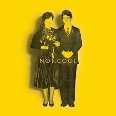 Disco in vinile Tim Easton - Not Cool (Limited Edition) (LP)