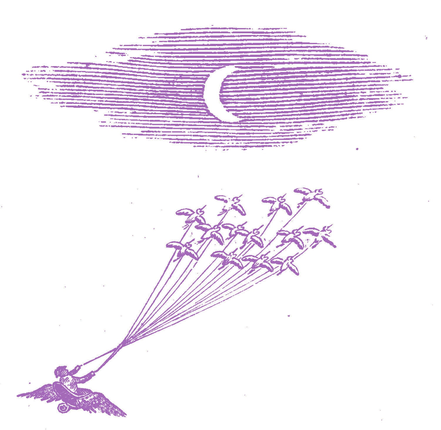 Грамофонна плоча Feeling Figures - Migration Magic (Limited Edition) (LP)
