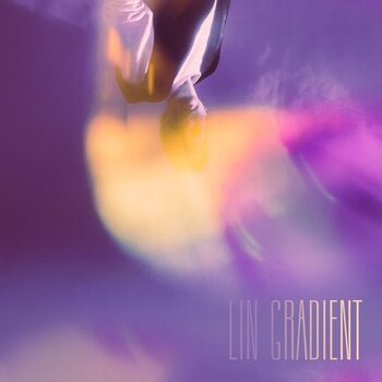 Schallplatte Lin - Gradient (LP) - 1