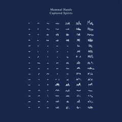 Vinylplate Mammal Hands - Captured Spirits (Limited Edition) (2 LP)