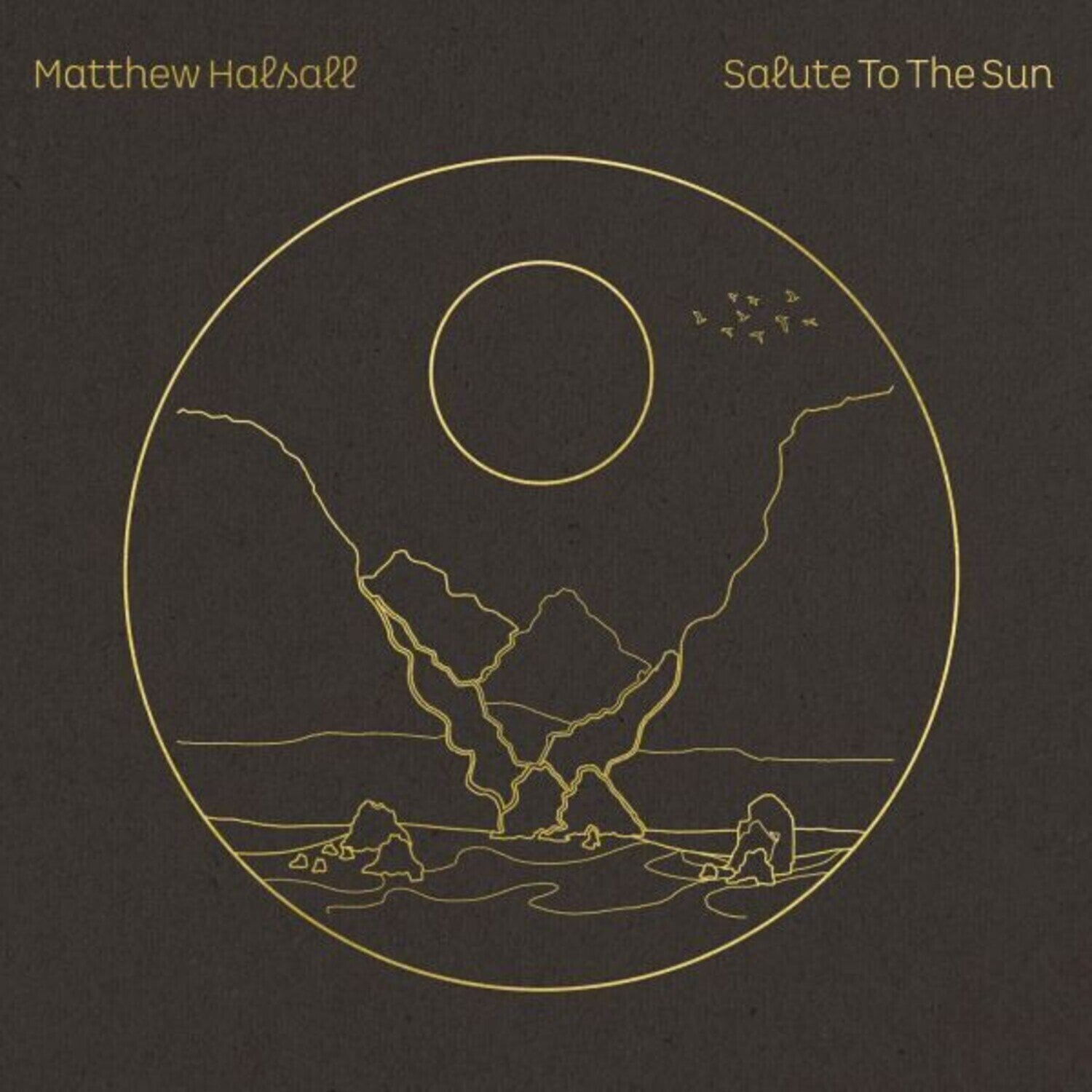 Vinüülplaat Matthew Halsall - Salute To The Sun (2 LP)