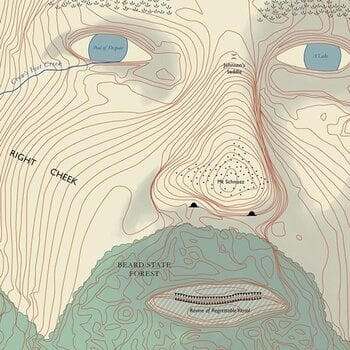 Disco in vinile Lawrence Arabia - Absolute Truth (LP) - 1