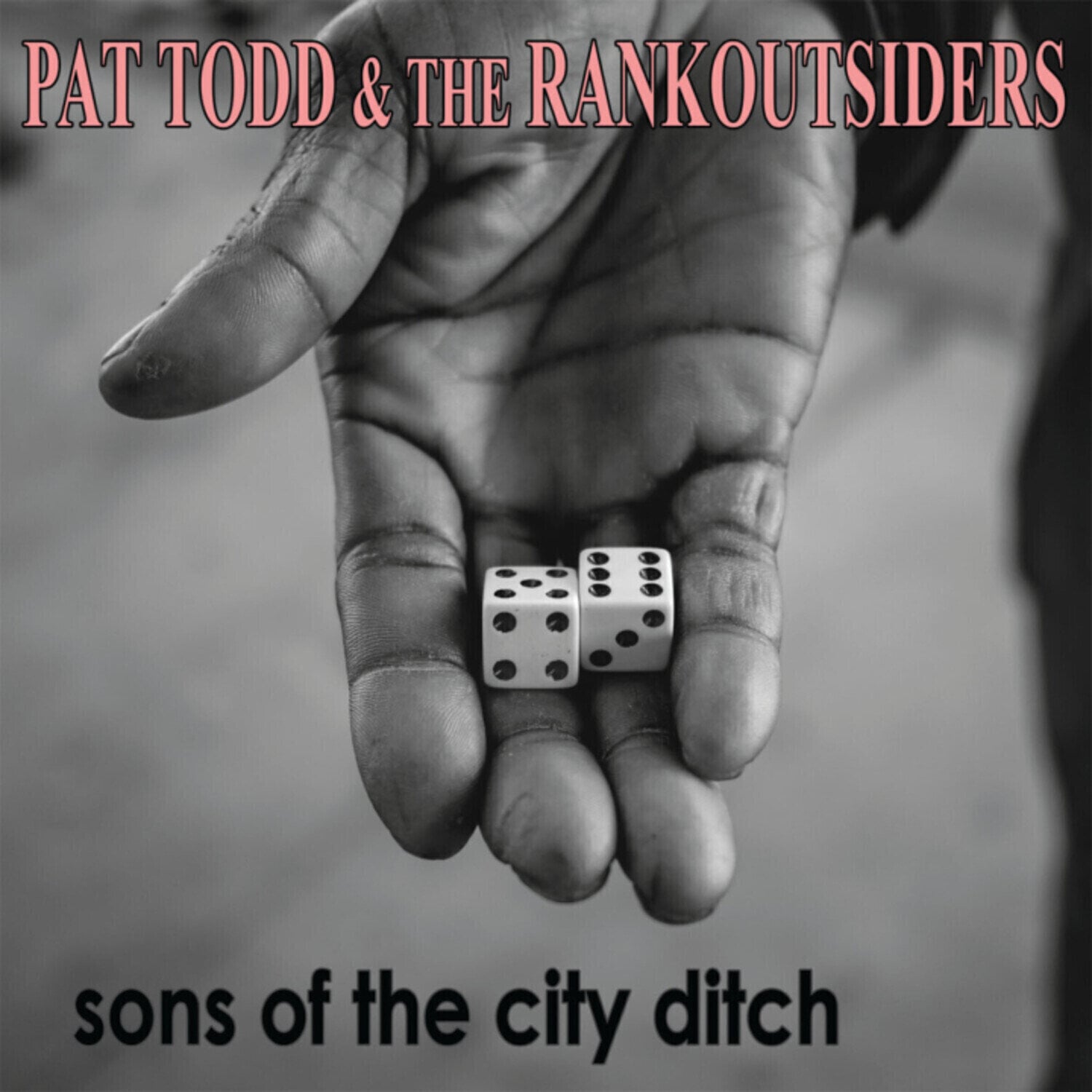 Vinyl Record Pat Todd & The Rankoutsiders - Sons Of The City Ditch (LP)