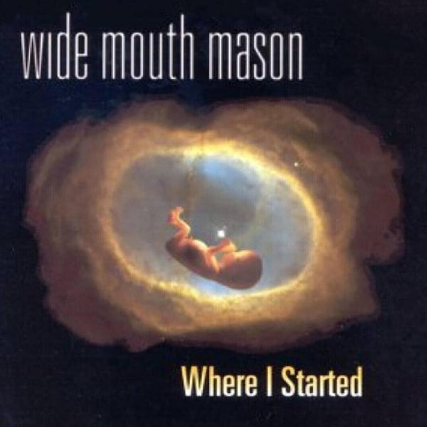 LP ploča Wide Mouth Mason - Where I Started (Limited Edition) (LP)