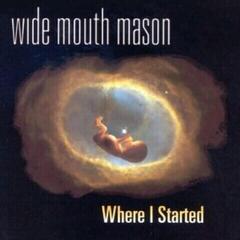LP ploča Wide Mouth Mason - Where I Started (Limited Edition) (LP)