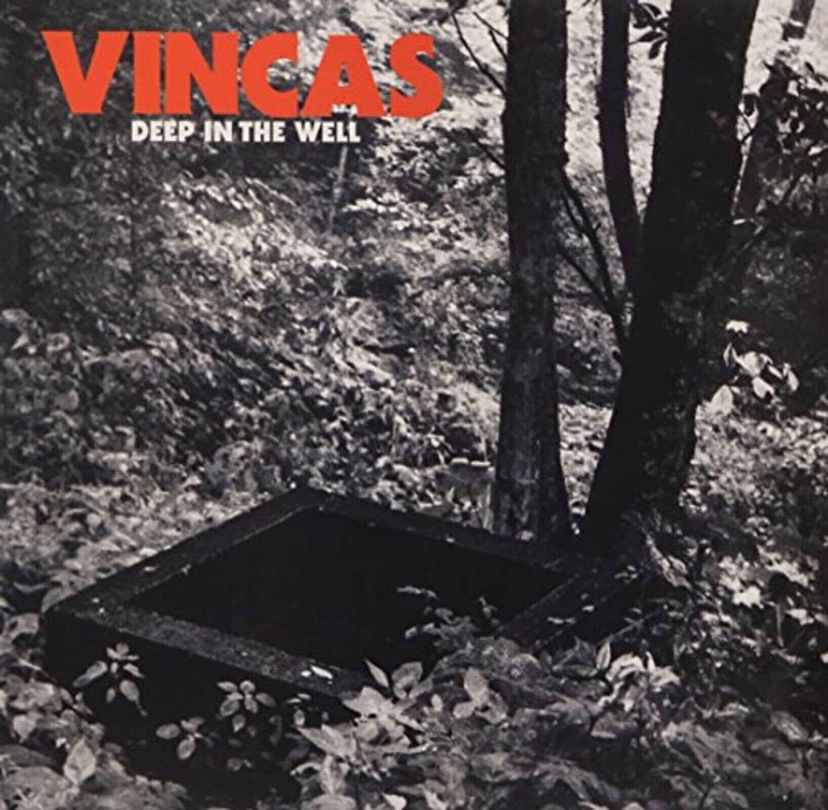 LP deska Vincas - Deep In The Well (Limited Edition) (LP)