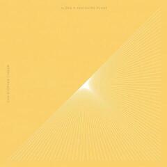 LP platňa Christopher Tignor - Along A Vanishing Plane (2 LP)