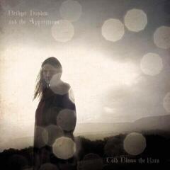 Schallplatte Bridget Hayden and the Apparitions - Cold Blows The Rain (LP)