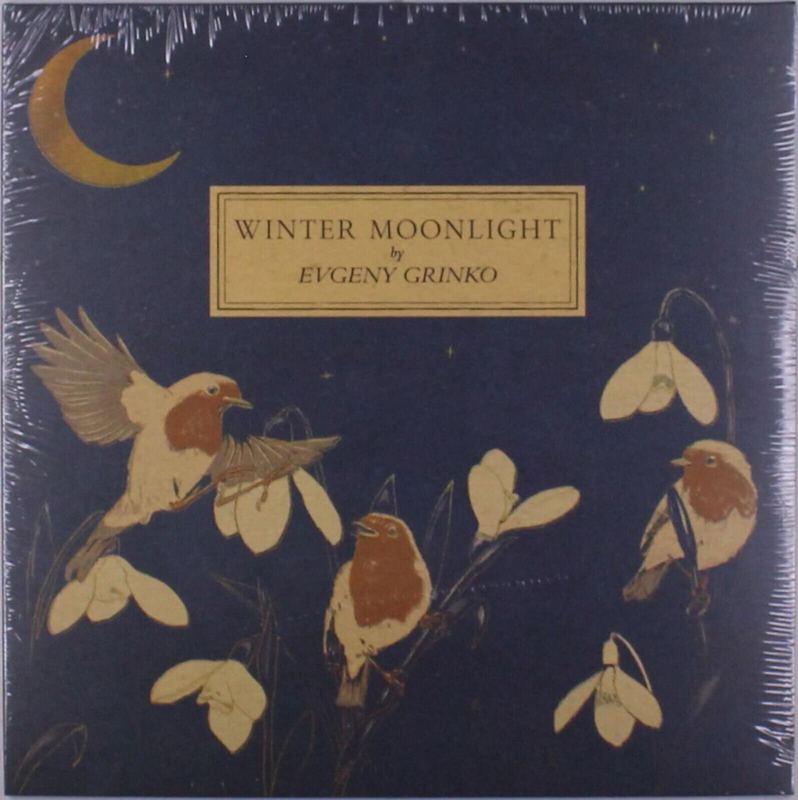LP ploča Evgeny Grinko - Winter Moonlight / Orange Marmalade (LP)