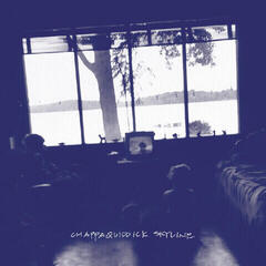LP ploča Chappaquiddick Skyline - Chappaquiddick Skyline (Limited Edition) (LP)