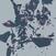 Δίσκος LP Chasms - On The Legs Of Love Purified (Limited Edition) (LP)