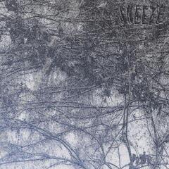 Płyta winylowa Sneeze - Rot (LP)