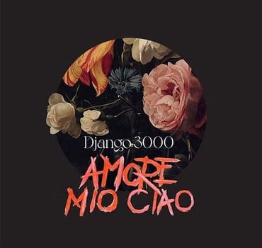 Vinyl Record Django 3000 - Armore Mio Ciao (LP) - 1