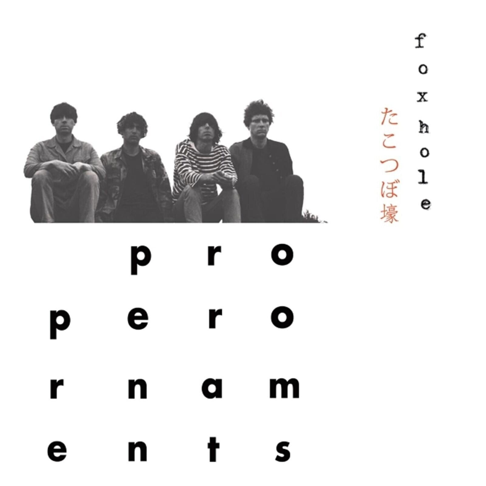 Vinyylilevy The Proper Ornaments - Foxhole (LP)