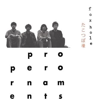 Vinyylilevy The Proper Ornaments - Foxhole (LP) - 1