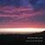 LP Bryan Beller - Scenes From The Flood (Limited Edition) (Blue Swirl Coloured) (2 LP)