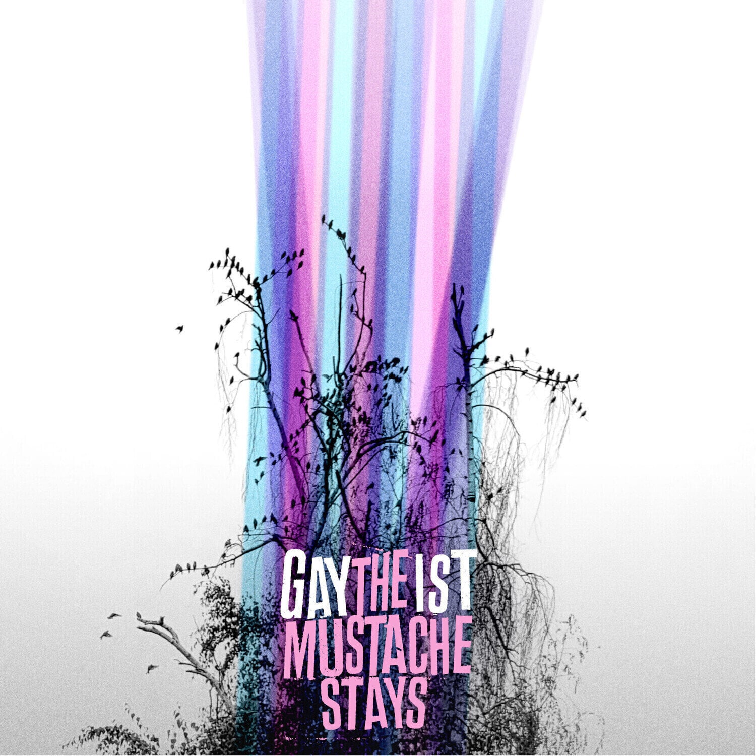 Vinyl Record Gaytheist - The Mustache Stays (LP)