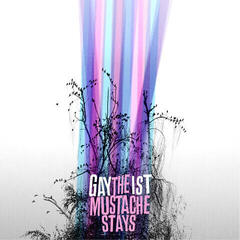 Vinyl Record Gaytheist - The Mustache Stays (LP)