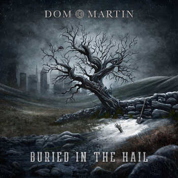LP platňa Dom Martin - Buried In The Hail (Limited Edition) (LP) - 1