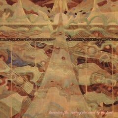 Грамофонна плоча The Lavender Flu - Tracing The Sand By The Pool (Limited Edition) (LP)