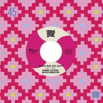 LP deska Mayas Amautas & Los Bravos Del Ande - ¿Crees Que Soy Sexy? / El Travoltoso (LP) - 1